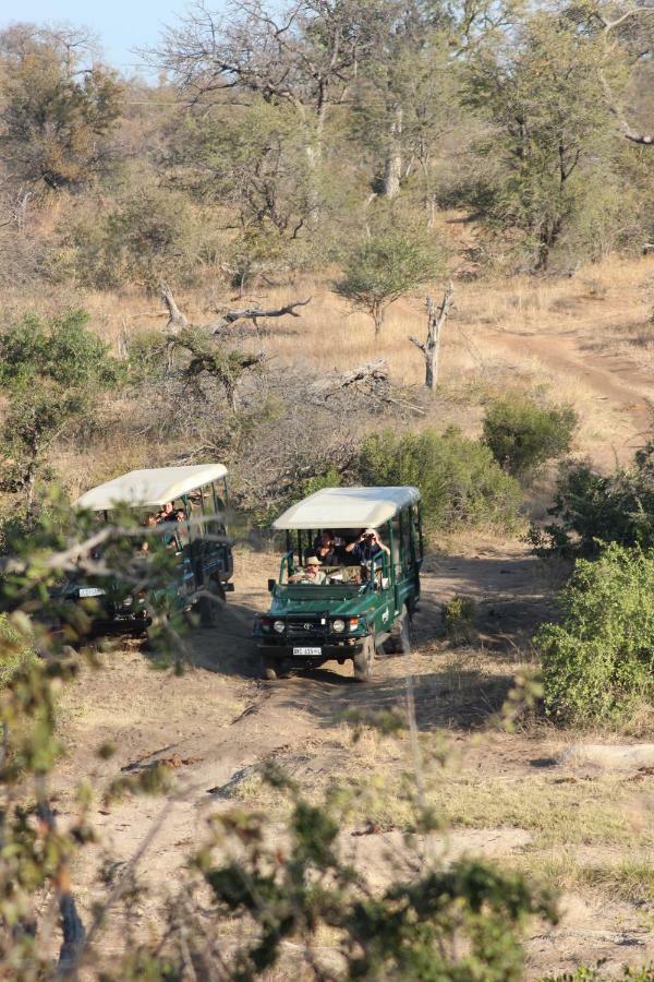 Greenfire Game Lodge Balule Game Reserve Exterior foto